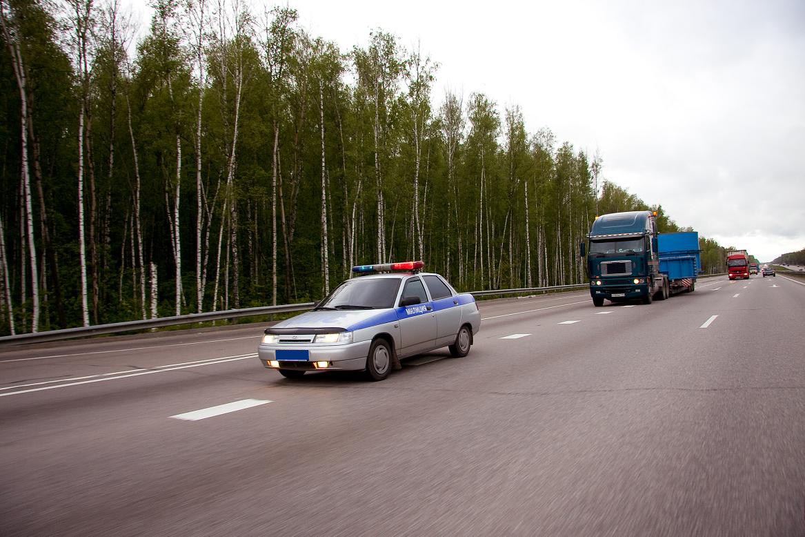 ������������� �������� �����