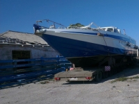 ������������ ��������� ��������� �������